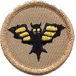 bat